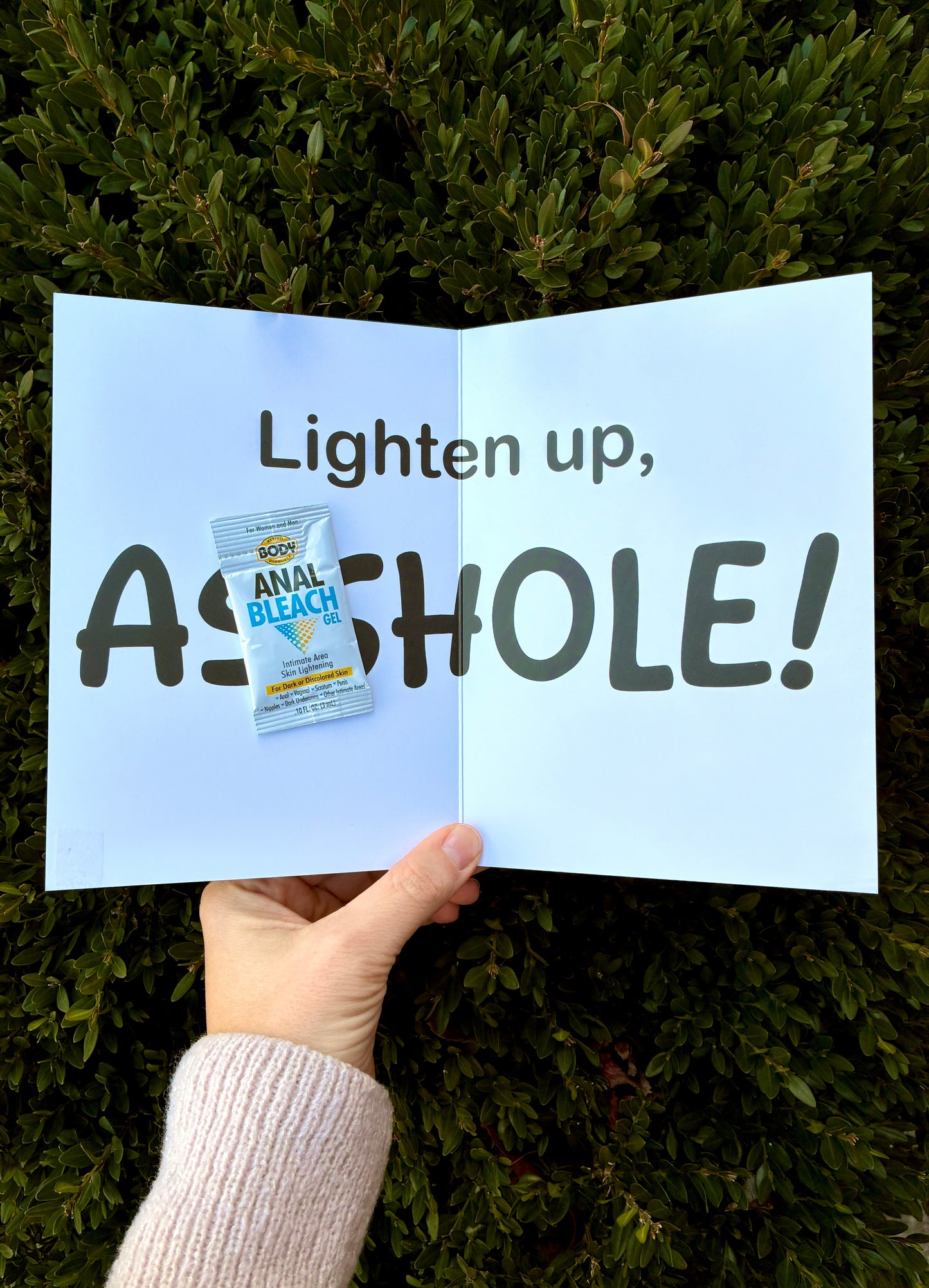 Interior of floral ‘Lighten Up’ greeting card displayed outdoors on green bushes